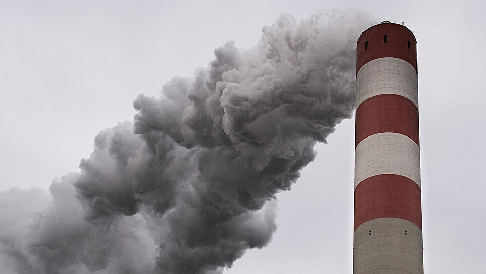 Cropped from an original by Mozzihh, CC BY-SA 4.0